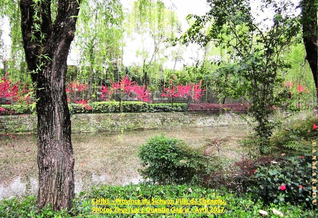 Chengdu avril 2017 - 017.JPG